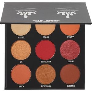 ♡ Kyle Jenner Burgundy Palette